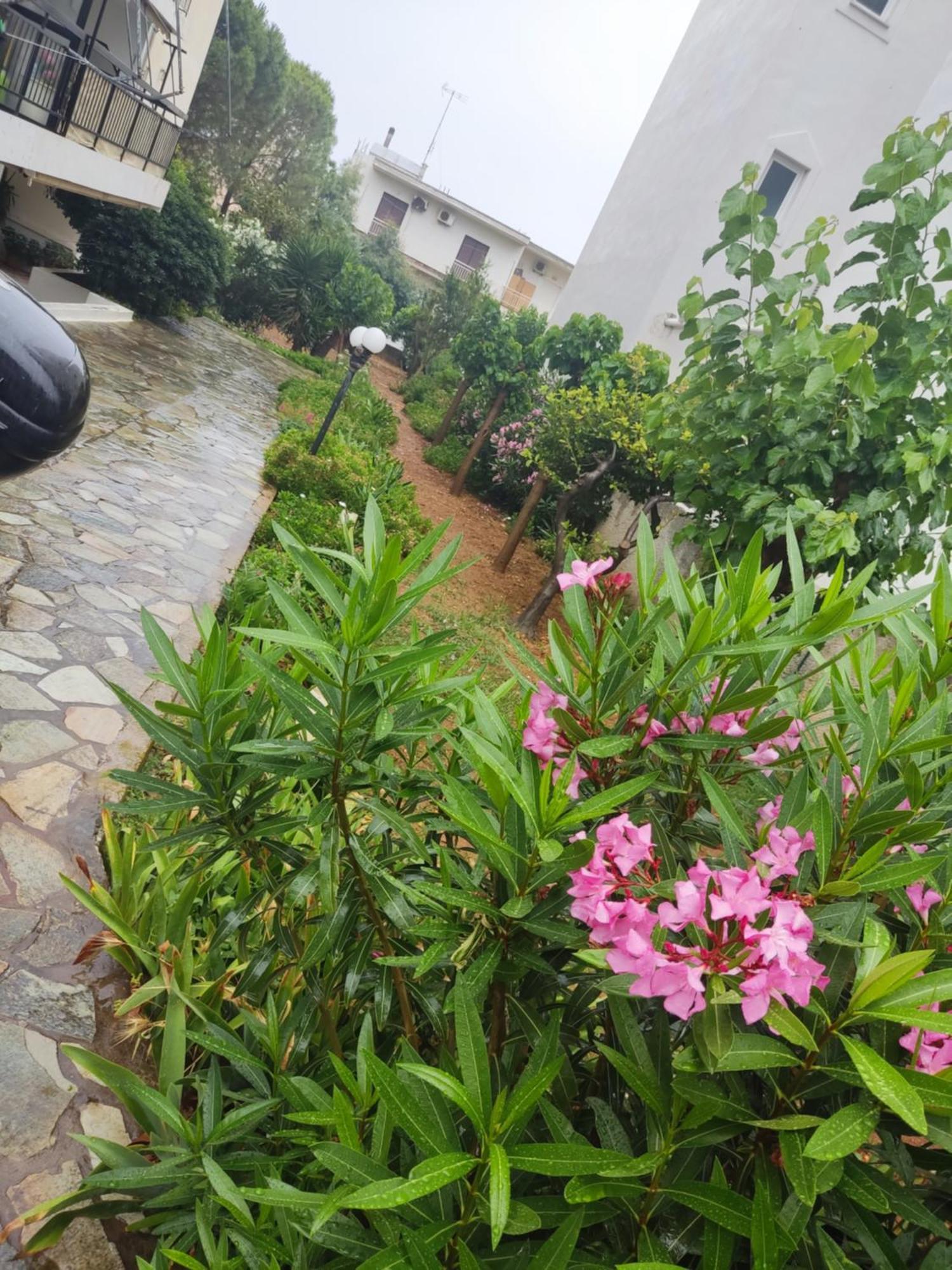 Center Apartment *